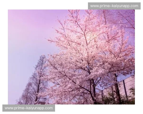 樱绽时节，关东关西的足球情缘：大阪樱花与东京的宿命对决